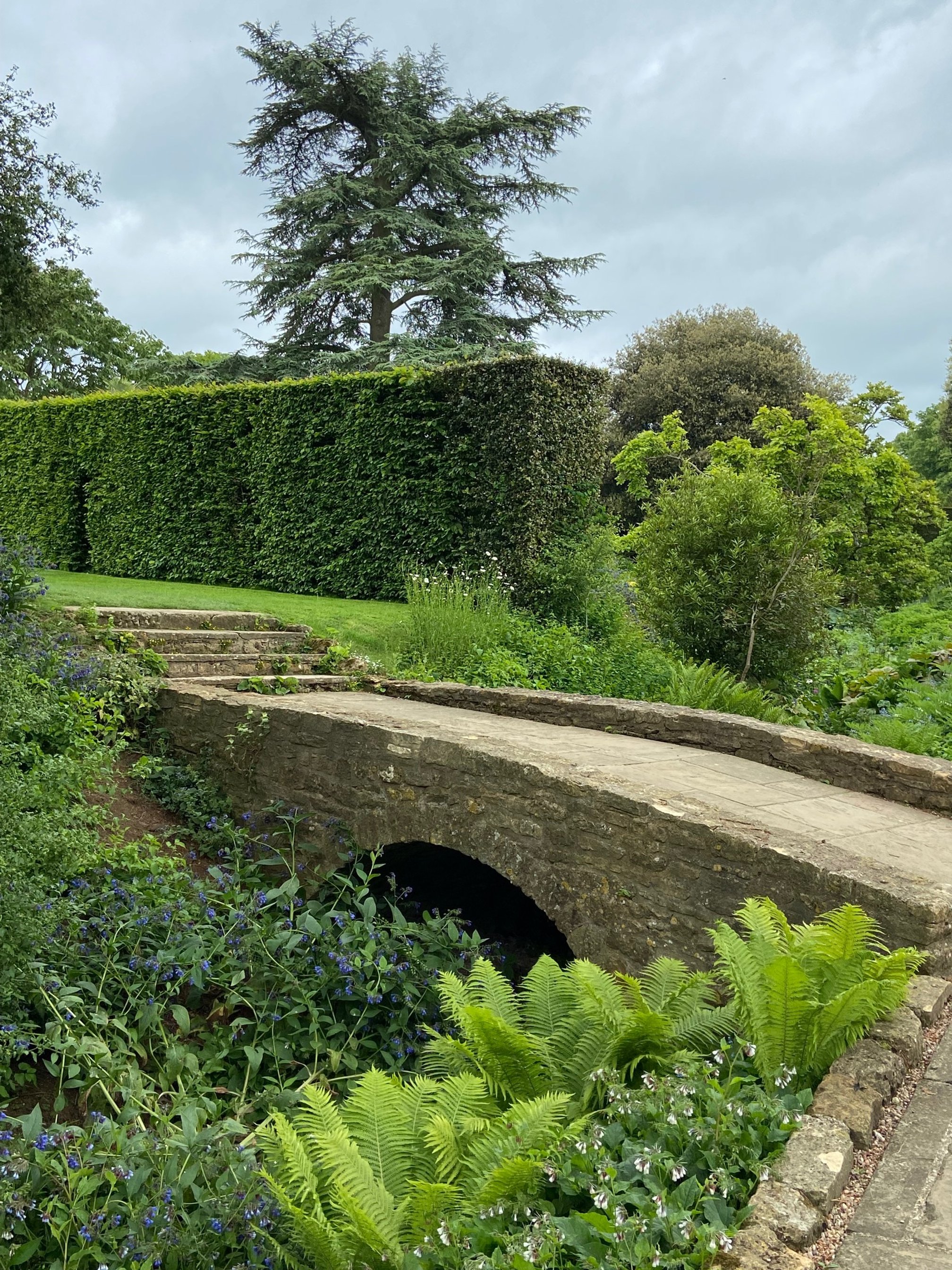 Hidcote IMG_5151.jpg