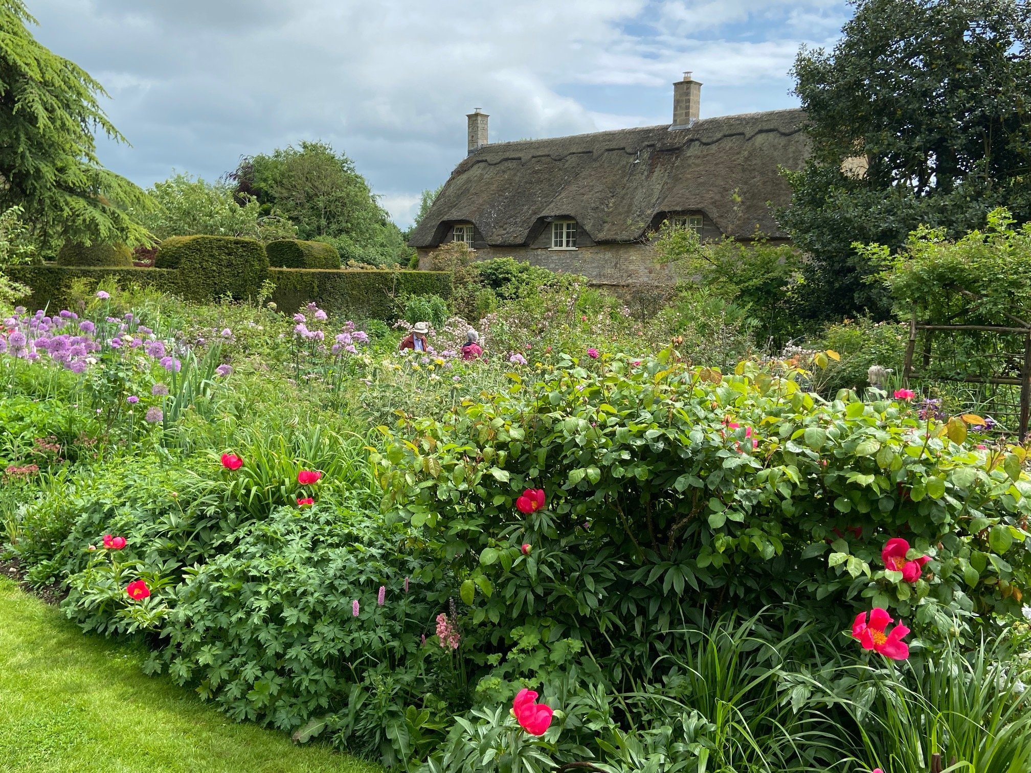 Hidcote IMG_5139.jpg